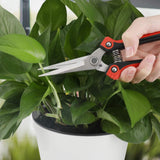 a person holding scissors to a plant