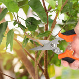 a person cutting a tree with scissors